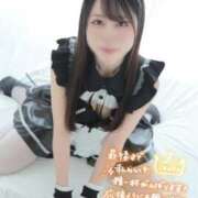 ヒメ日記 2025/11/23 15:02 投稿 ななこ アリスカフェ