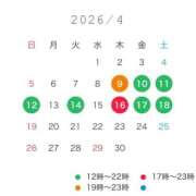 ヒメ日記 2026/04/05 17:40 投稿 ななこ アリスカフェ