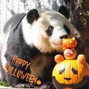 宮舘ふゆ ハロウィン🎃 色気あるワイフ