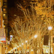 宮舘ふゆ 今年も…… 色気あるワイフ