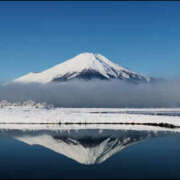 ヒメ日記 2025/12/26 10:56 投稿 宮舘ふゆ 色気あるワイフ
