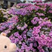 ヒメ日記 2025/05/29 15:39 投稿 あさみ 熊本ちゃんこ　八代店