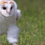 ヒメ日記 2025/06/15 19:21 投稿 あさみ 熊本ちゃんこ　八代店