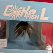 ヒメ日記 2025/10/16 10:45 投稿 あさみ 熊本ちゃんこ　八代店