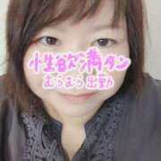 ヒメ日記 2025/11/07 14:49 投稿 あさみ 熊本ちゃんこ　八代店