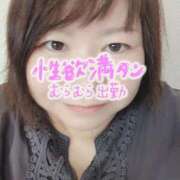 ヒメ日記 2025/11/07 15:09 投稿 あさみ 熊本ちゃんこ　八代店