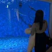 ヒメ日記 2025/05/21 21:45 投稿 あいり【RAINBOW】 Sabbat(サバト)