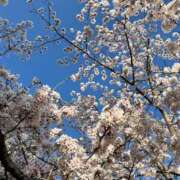 ヒメ日記 2025/05/26 22:00 投稿 きぃ【性感】 性感エステBianca豊中店