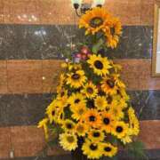 ヒメ日記 2025/07/17 16:32 投稿 きぃ【性感】 性感エステBianca豊中店