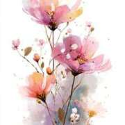 ヒメ日記 2025/09/27 14:22 投稿 きぃ【性感】 性感エステBianca豊中店