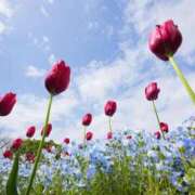 ヒメ日記 2025/10/09 16:17 投稿 きぃ【性感】 性感エステBianca豊中店