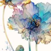 ヒメ日記 2025/12/19 14:32 投稿 きぃ【性感】 性感エステBianca豊中店