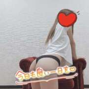 ヒメ日記 2025/04/28 12:04 投稿 ちひろ sakura