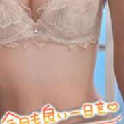 ヒメ日記 2025/05/17 05:52 投稿 ちひろ sakura