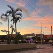 ヒメ日記 2026/03/31 17:16 投稿 すず 新潟市鳥屋野潟ちゃんこ