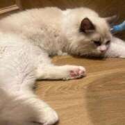 ヒメ日記 2026/08/16 18:36 投稿 すず 新潟市鳥屋野潟ちゃんこ
