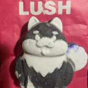 ヒメ日記 2025/12/28 17:01 投稿 のあ 逢って30秒で即尺