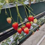 ヒメ日記 2026/04/06 11:35 投稿 のあ 逢って30秒で即尺