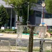 ヒメ日記 2025/08/14 12:55 投稿 たまき 逢って30秒で即尺