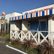 ヒメ日記 2025/09/16 17:33 投稿 たまき 逢って30秒で即尺