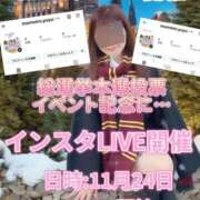 ヒメ日記 2025/11/23 12:09 投稿 島谷ゆう 桃色奥様(佐賀)