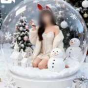 ヒメ日記 2025/12/20 07:05 投稿 島谷ゆう 桃色奥様(佐賀)