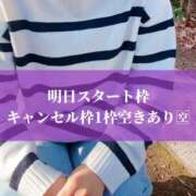 ヒメ日記 2026/01/20 17:05 投稿 島谷ゆう 桃色奥様(佐賀)