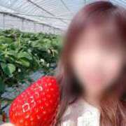 ヒメ日記 2026/02/19 12:09 投稿 島谷ゆう 桃色奥様(佐賀)