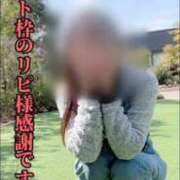 ヒメ日記 2026/03/02 00:16 投稿 島谷ゆう 桃色奥様(佐賀)