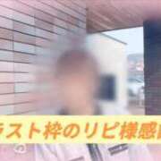 ヒメ日記 2026/03/09 18:05 投稿 島谷ゆう 桃色奥様(佐賀)