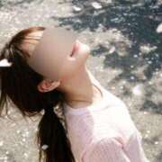 ヒメ日記 2026/03/20 17:15 投稿 島谷ゆう 桃色奥様(佐賀)