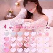 ヒメ日記 2026/03/30 13:52 投稿 島谷ゆう 桃色奥様(佐賀)