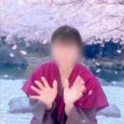 ヒメ日記 2026/03/30 20:05 投稿 島谷ゆう 桃色奥様(佐賀)