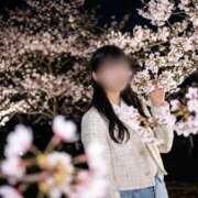 ヒメ日記 2026/04/06 13:46 投稿 島谷ゆう 桃色奥様(佐賀)