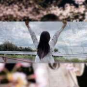 ヒメ日記 2026/04/10 14:05 投稿 島谷ゆう 桃色奥様(佐賀)