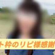 ヒメ日記 2026/04/29 20:35 投稿 島谷ゆう 桃色奥様(佐賀)