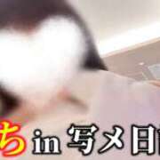ヒメ日記 2026/05/01 07:15 投稿 島谷ゆう 桃色奥様(佐賀)