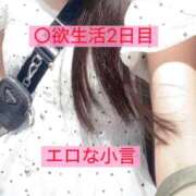 ヒメ日記 2026/07/14 14:36 投稿 島谷ゆう 桃色奥様(佐賀)