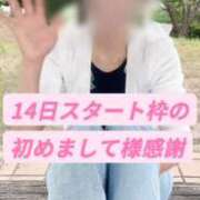 ヒメ日記 2026/07/15 16:15 投稿 島谷ゆう 桃色奥様(佐賀)