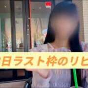 ヒメ日記 2026/07/24 14:02 投稿 島谷ゆう 桃色奥様(佐賀)