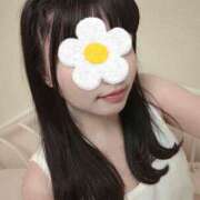 ヒメ日記 2025/04/10 05:00 投稿 しらせ ぷりぷりプリン