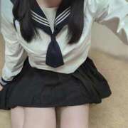 ヒメ日記 2025/04/22 10:00 投稿 しらせ ぷりぷりプリン