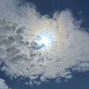 ヒメ日記 2025/05/14 19:32 投稿 さつき 完熟ばなな川崎