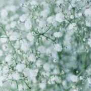 ヒメ日記 2025/11/21 10:24 投稿 さつき 完熟ばなな川崎