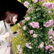 ヒメ日記 2025/06/01 22:38 投稿 桜本なつめ エルドール