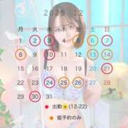 ヒメ日記 2025/12/03 12:06 投稿 桜本なつめ エルドール