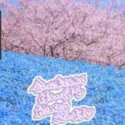 ヒメ日記 2025/04/16 18:27 投稿 ゆい ぽっちゃり素人専門店 愛されぽっちゃり倶楽部 古川店