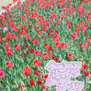 ゆい ありがとうございます💛 ぽっちゃり素人専門店 愛されぽっちゃり倶楽部 古川店