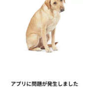 ヒメ日記 2025/05/06 06:00 投稿 しらせ ぷりぷりプリン つくば店