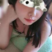 ヒメ日記 2025/06/25 07:00 投稿 しらせ ぷりぷりプリン つくば店